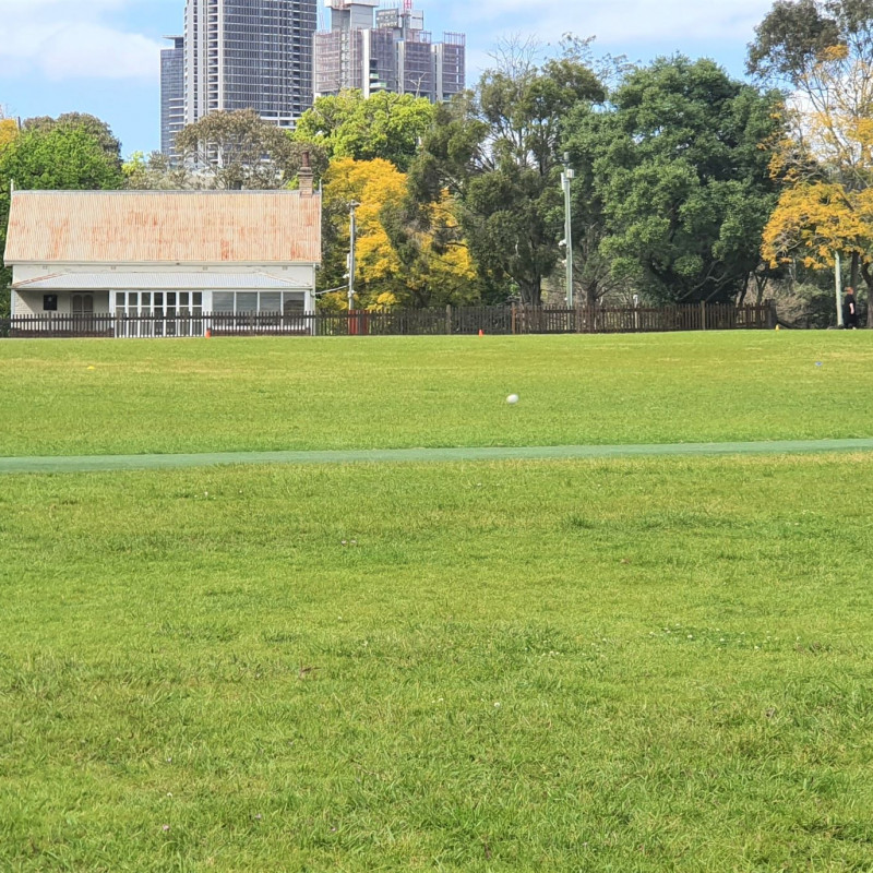 Synthetic cricket wicket - near railway line