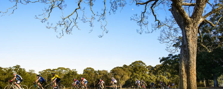 Cycling group